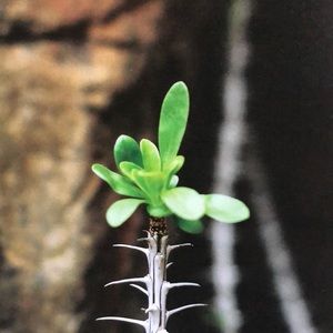 Meet your Posher, Benjamin